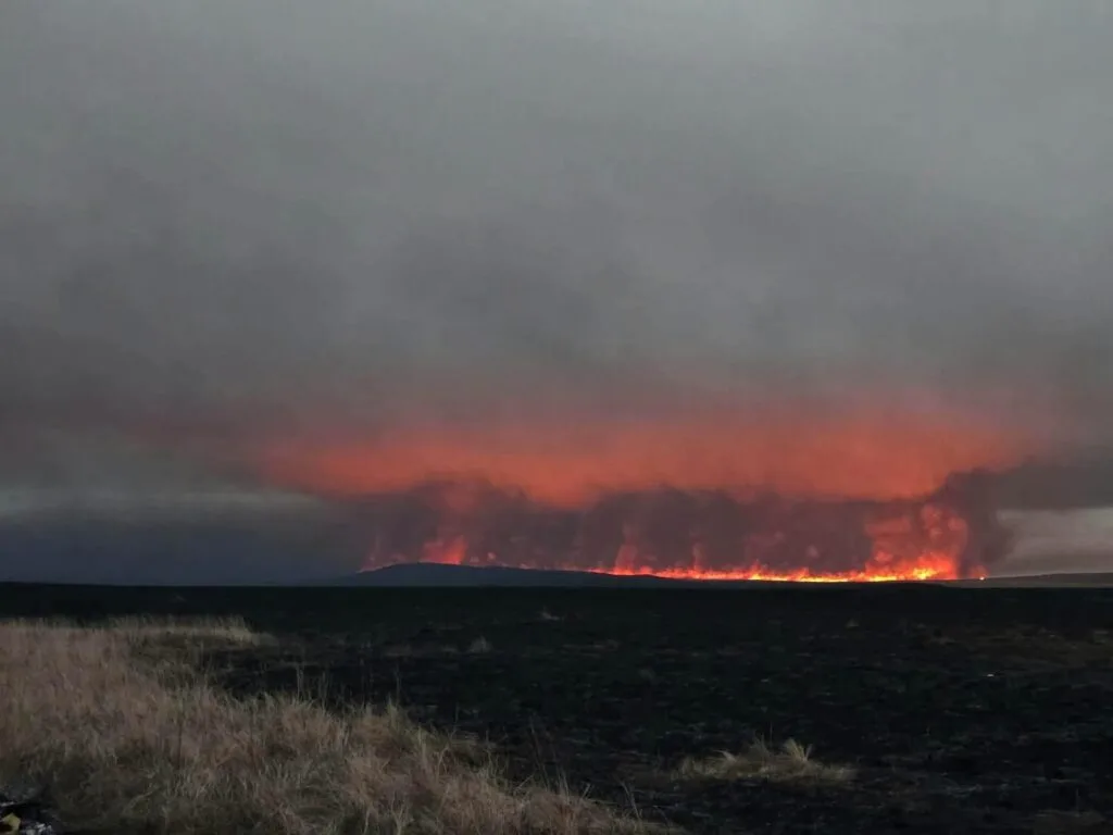 Wildfire in Numrug Strictly Protected Area, time.mn