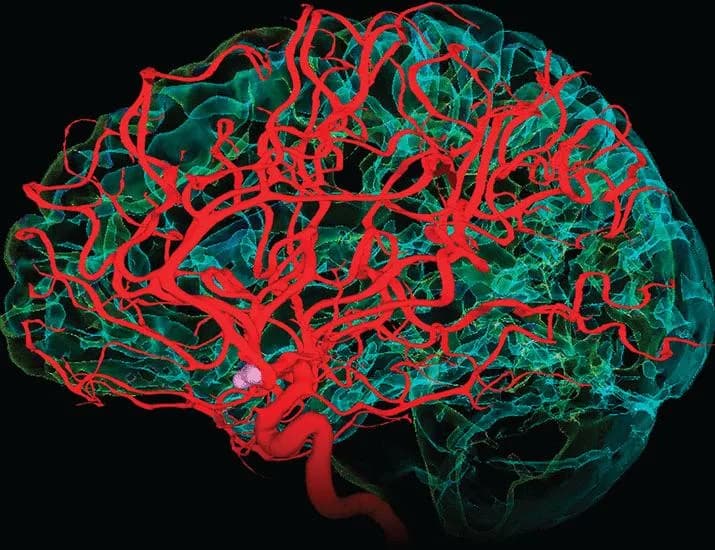 In Science Journals | Science