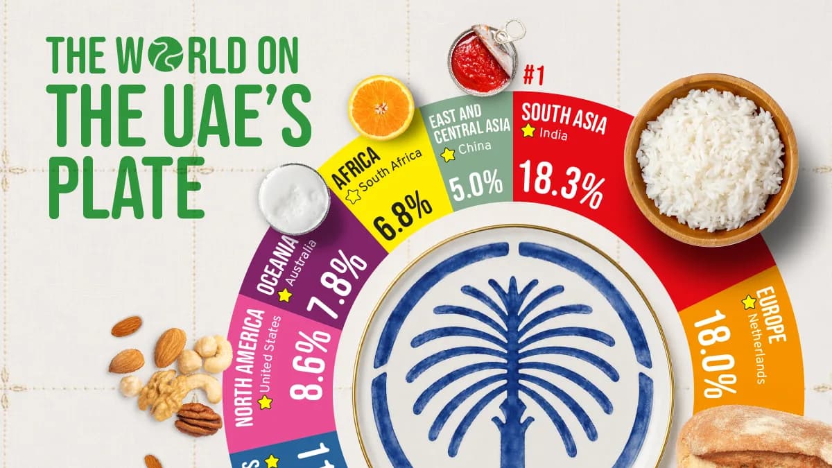 Visualized: The World on the UAE’s Plate