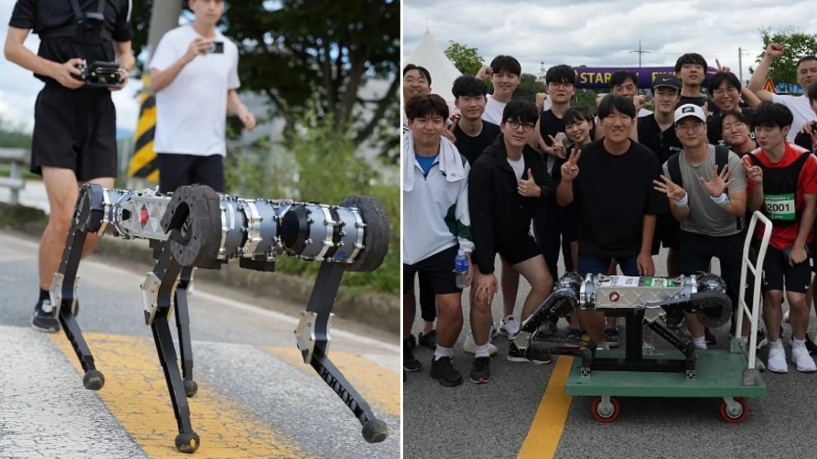 Robot dog finishes 26-mile marathon on a single battery charge, beating human efficiency
