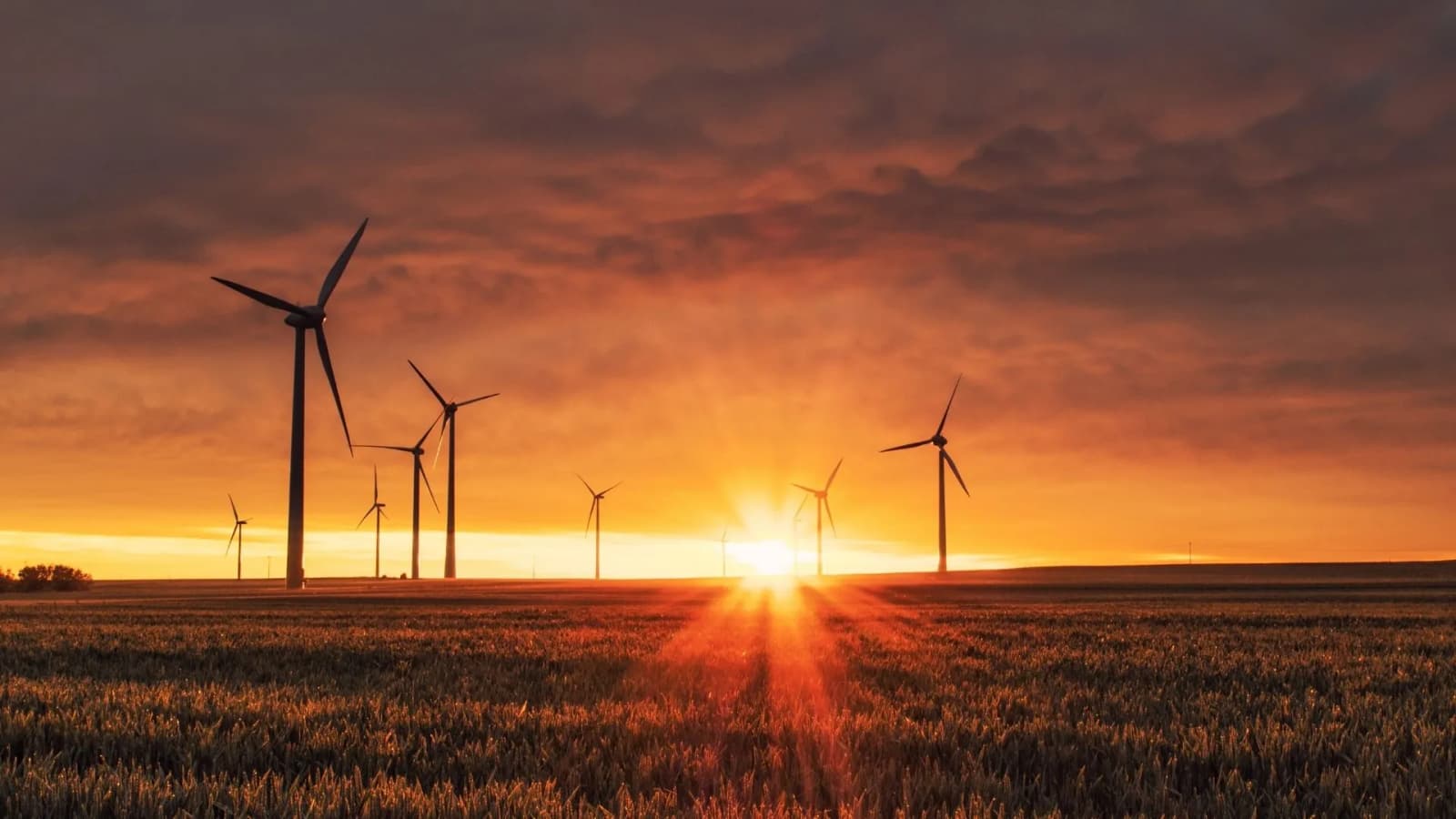 MIT-led team tests wind turbines in air 220 times denser for higher power output