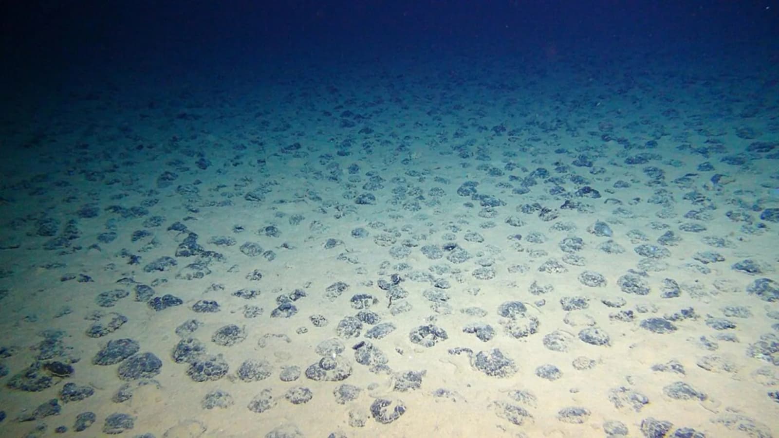 Nearly 12,000 new viruses found in Pacific Ocean region targeted for deep-sea mining