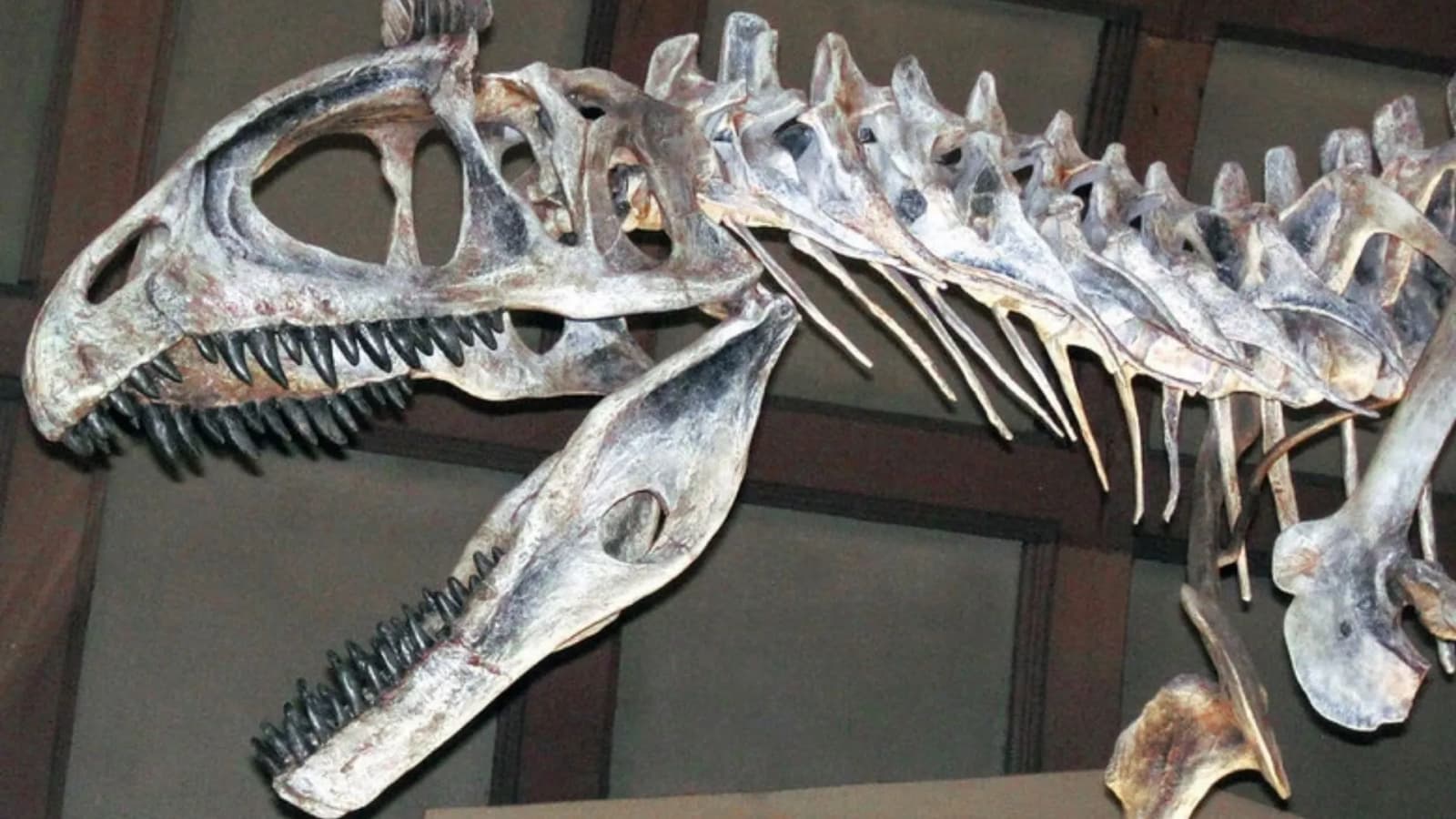 10 dinosaurs that once lived in Antarctica, from predators to giant herbivores