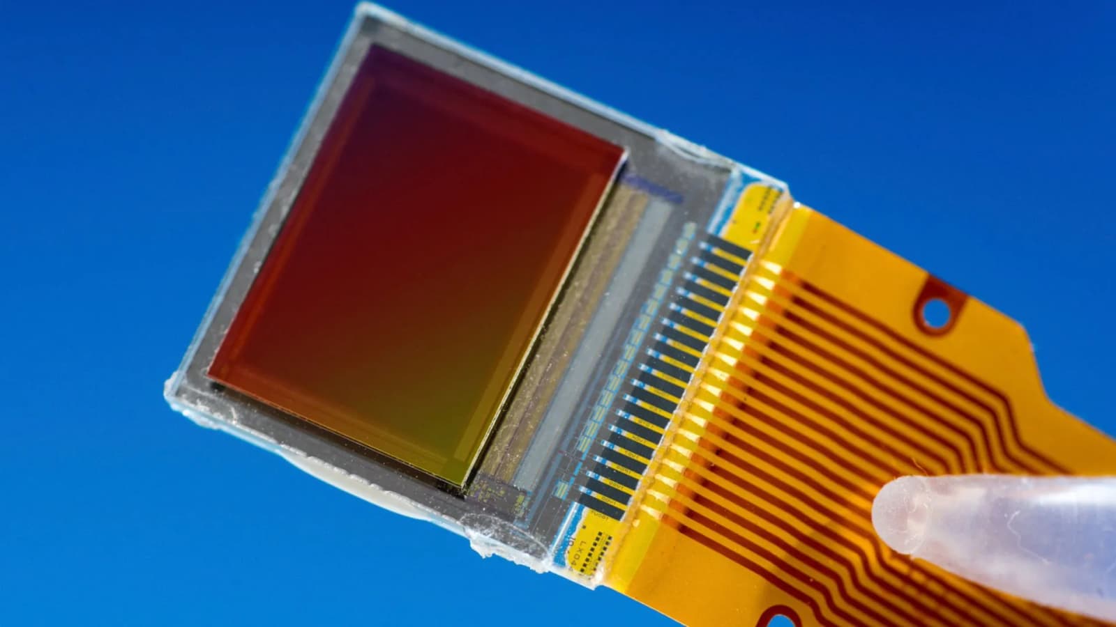 Chinese scientists build 100-channel single-photon detector for quantum internet