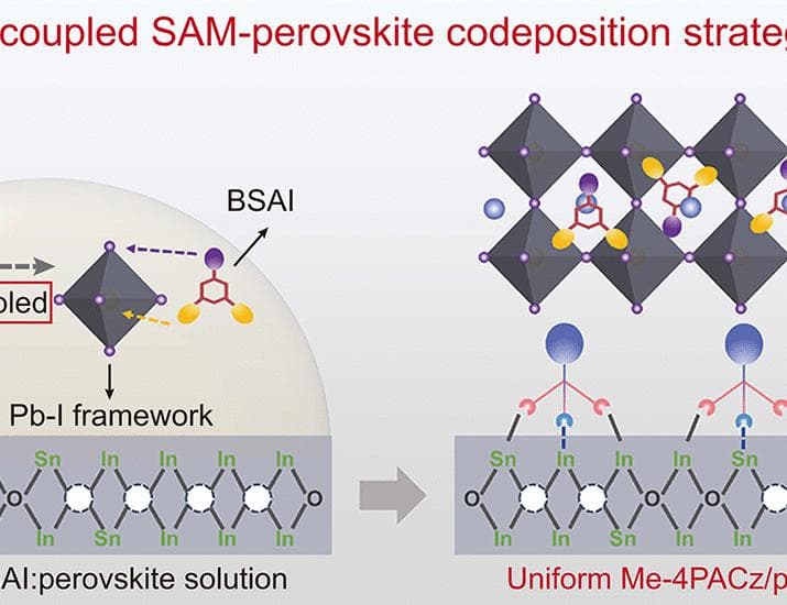 Decoupled self-assembled monolayer and perovskite deposition for efficient flexible solar modules | Science
