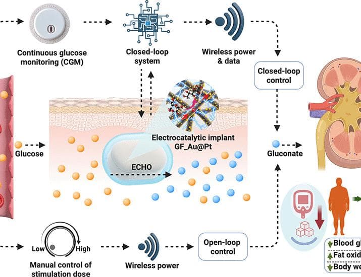 Wireless electrocatalytic closed-loop system for drug-free management of diabesity | Science